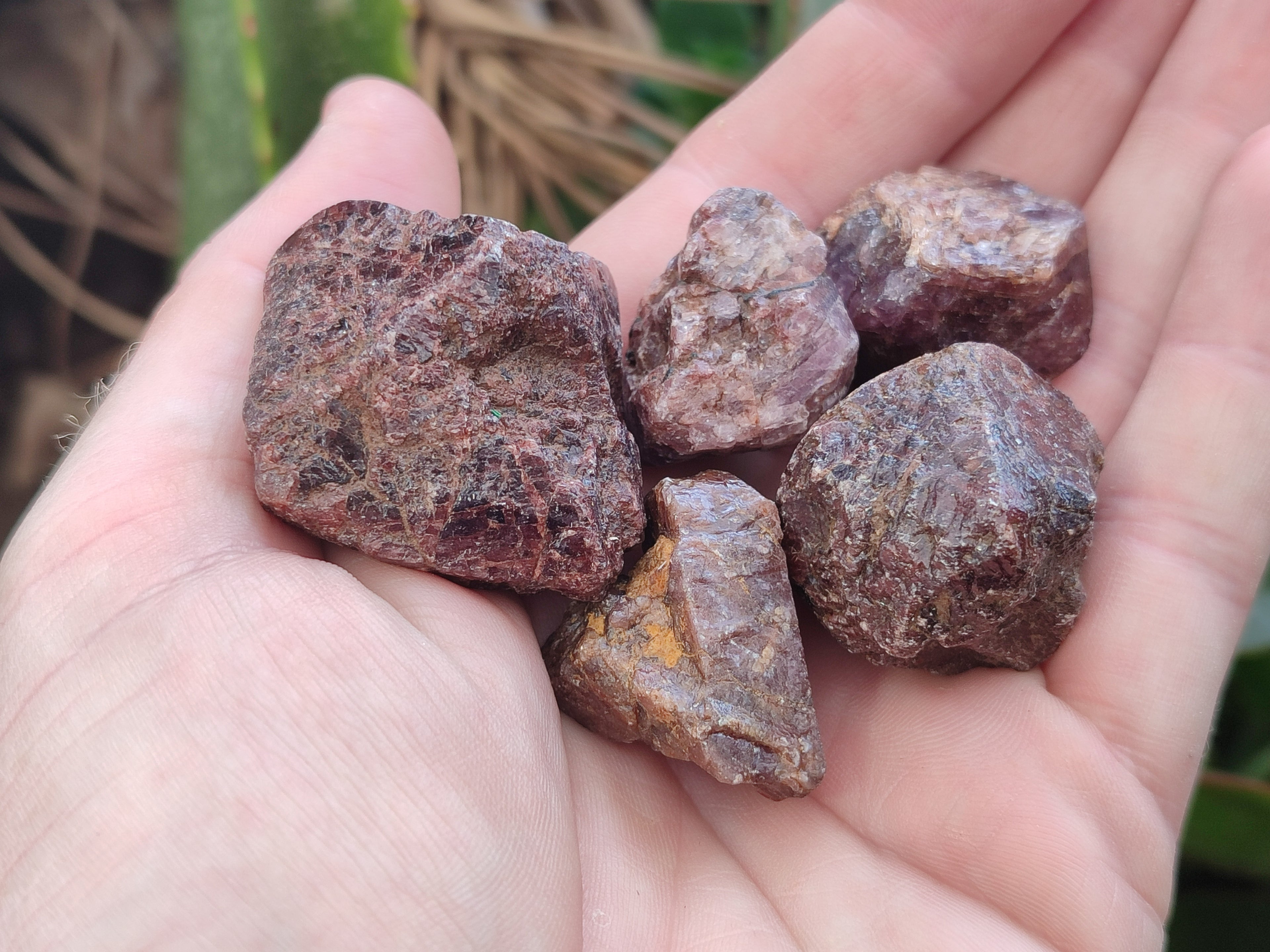 Natural Adamantine Zircon Crystals with Lustre x 53 From Malawi - Toprock Gemstones and Minerals 