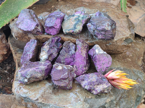 Natural Metallic Purpurite Cobbed Specimens x 12 From Erongo, Namibia - Toprock Gemstones and Minerals 