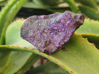 Natural Metallic Purpurite Cobbed Specimens x 12 From Erongo, Namibia - Toprock Gemstones and Minerals 