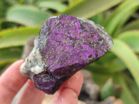 Natural Metallic Purpurite Cobbed Specimens x 12 From Erongo, Namibia - Toprock Gemstones and Minerals 