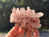 Natural Clear Multi Terminated Quartz Crystal Clusters x 24 From Madagascar
