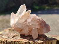 Natural Clear Multi Terminated Quartz Crystal Clusters x 24 From Madagascar