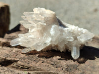 Natural Clear Multi Terminated Quartz Crystal Clusters x 24 From Madagascar