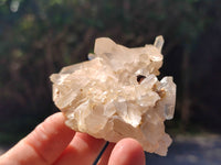 Natural Clear Multi Terminated Quartz Crystal Clusters x 24 From Madagascar