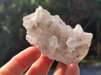 Natural Clear Multi Terminated Quartz Crystal Clusters x 24 From Madagascar