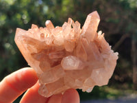 Natural Clear Multi Terminated Quartz Crystal Clusters x 24 From Madagascar