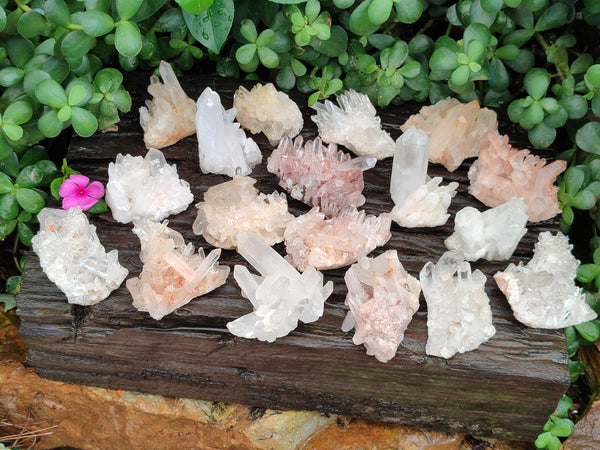 Natural Clear Multi Terminated Quartz Crystal Clusters x 24 From Madagascar