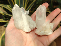 Natural Clear Multi Terminated Quartz Crystal Clusters x 24 From Madagascar