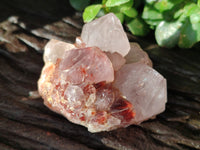 Natural Amethyst Cactus Spirit Quartz Clusters x 6 From Boekenhouthoek, South Africa