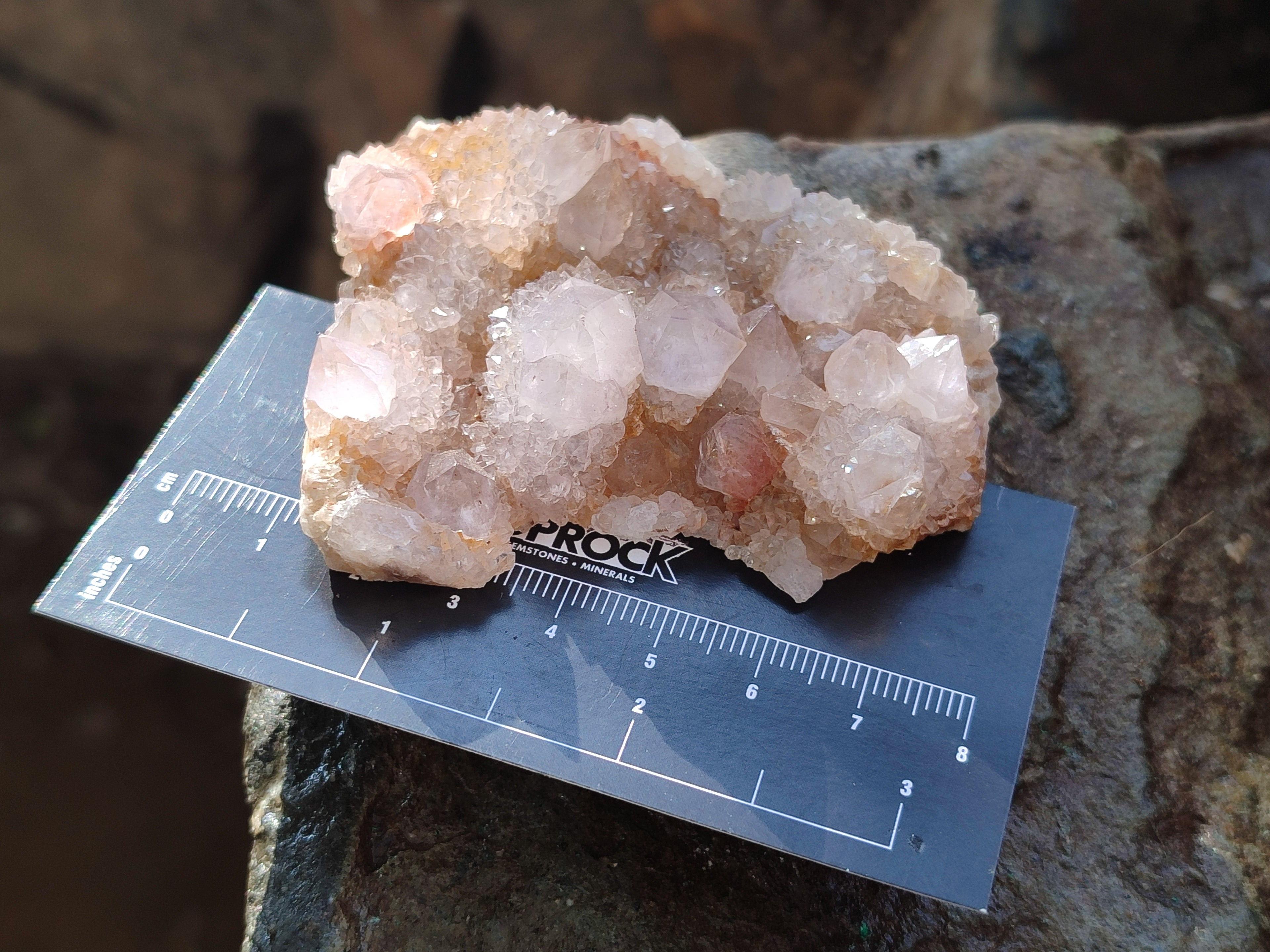 Natural Amethyst Cactus Spirit Quartz Clusters x 6 From Boekenhouthoek, South Africa - Toprock Gemstones and Minerals 