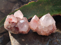 Natural Amethyst Cactus Spirit Quartz Clusters x 6 From Boekenhouthoek, South Africa