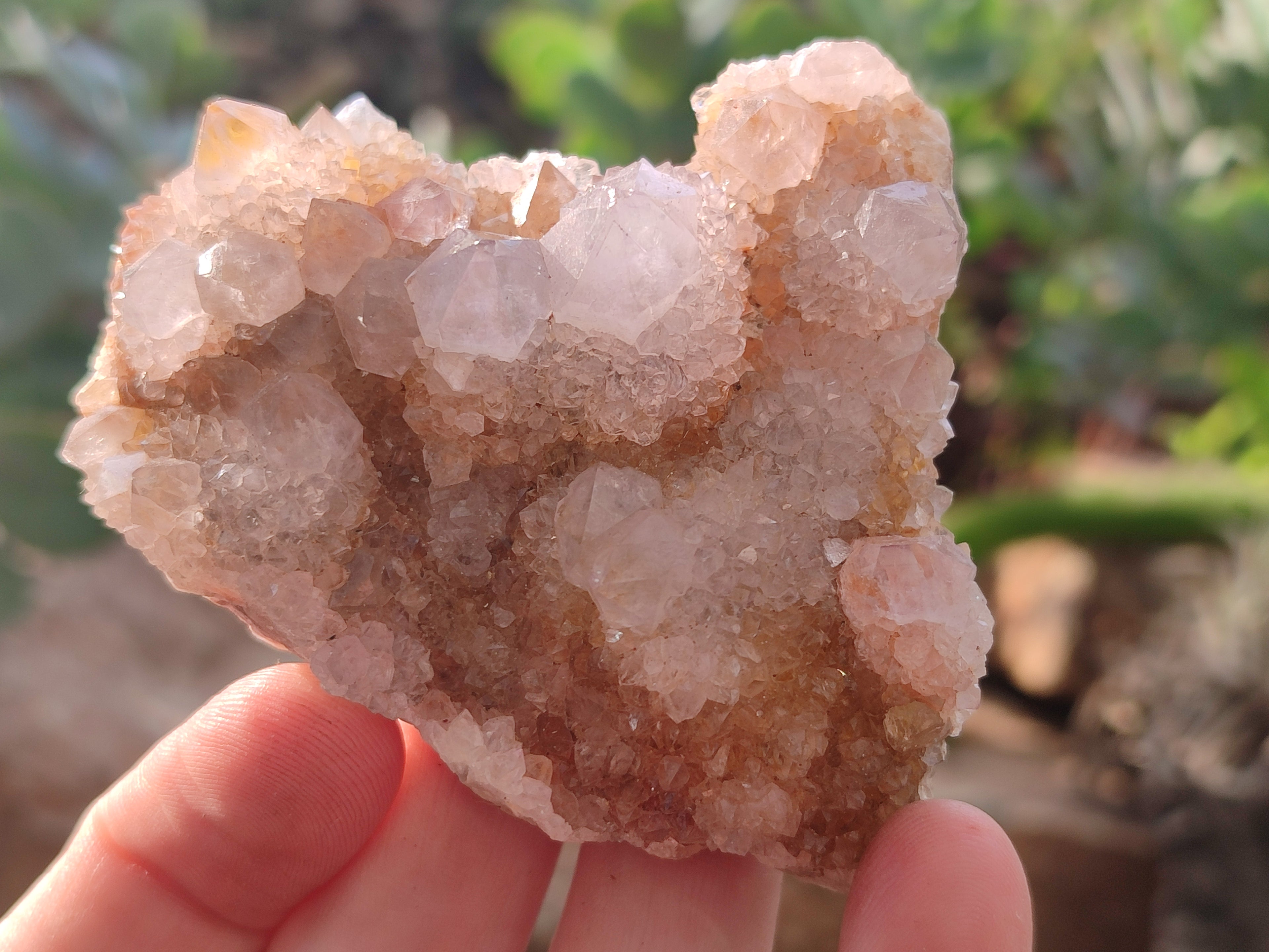 Natural Amethyst Cactus Spirit Quartz Clusters x 6 From Boekenhouthoek, South Africa - Toprock Gemstones and Minerals 