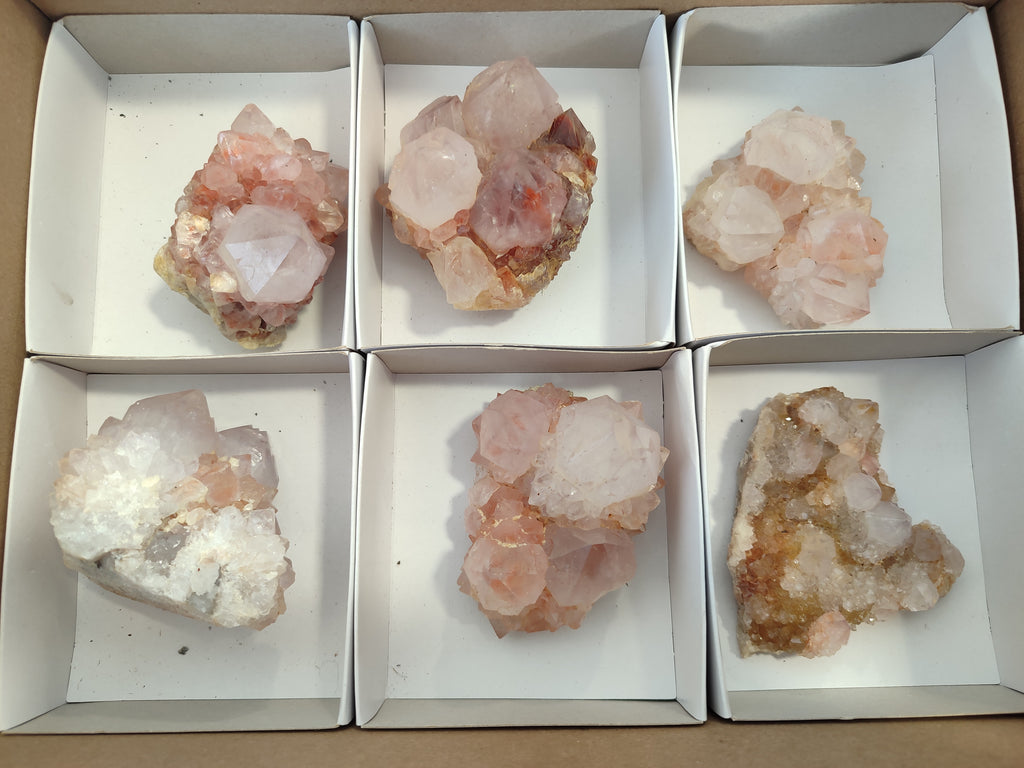 Natural Amethyst Cactus Spirit Quartz Clusters x 6 From Boekenhouthoek, South Africa - Toprock Gemstones and Minerals 