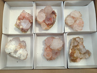 Natural Amethyst Cactus Spirit Quartz Clusters x 6 From Boekenhouthoek, South Africa