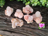 Natural Amethyst Cactus Spirit Quartz Clusters x 6 From Boekenhouthoek, South Africa