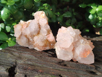 Natural Amethyst Cactus Spirit Quartz Clusters x 6 From Boekenhouthoek, South Africa