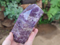 Polished Lepidolite Points x 2 From Ambatondrazaka, Madagascar