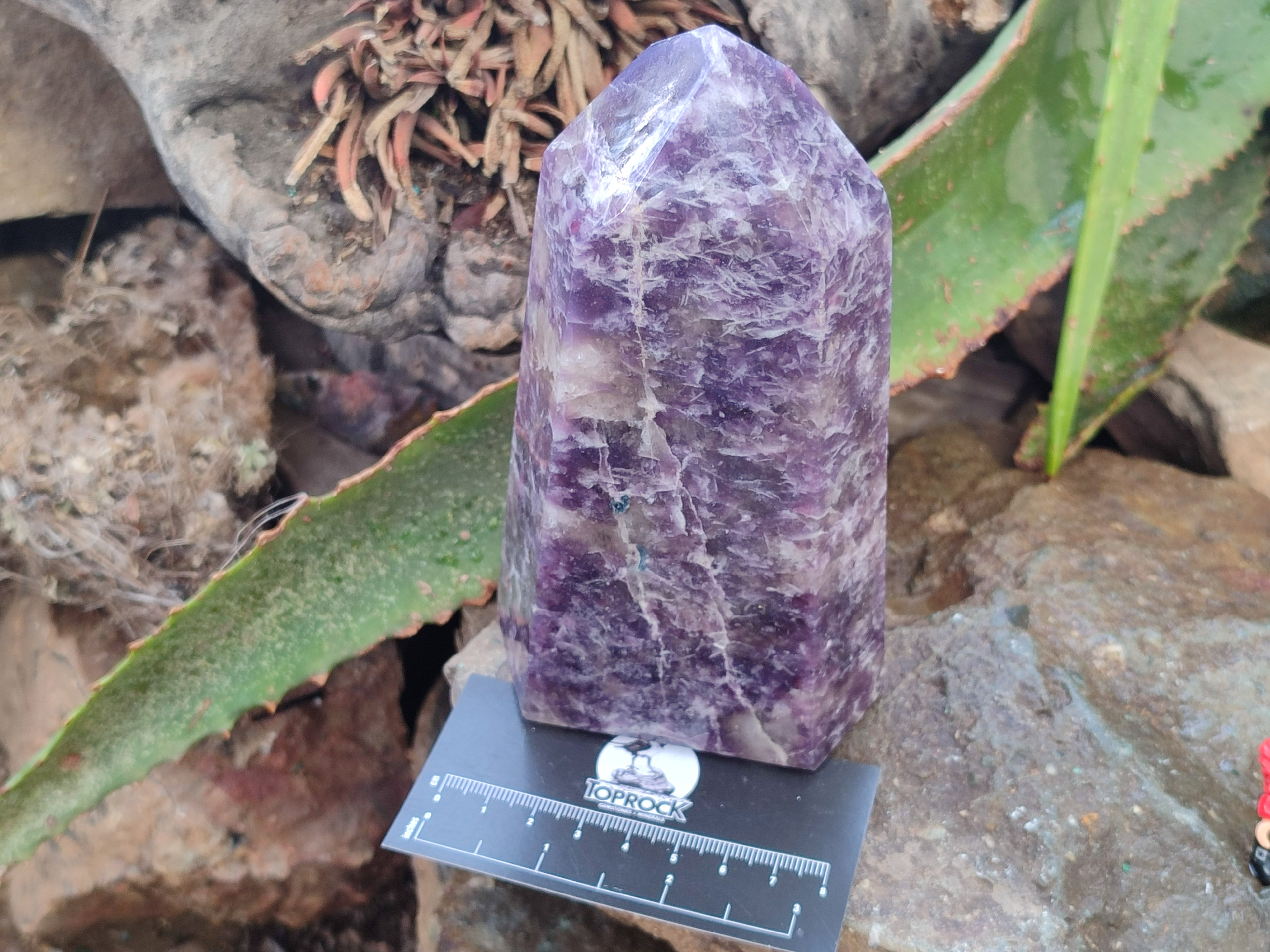 Polished Lepidolite Points x 2 From Ambatondrazaka, Madagascar - Toprock Gemstones and Minerals 