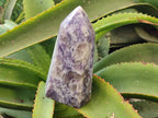 Polished Lepidolite Points x 2 From Ambatondrazaka, Madagascar - Toprock Gemstones and Minerals 