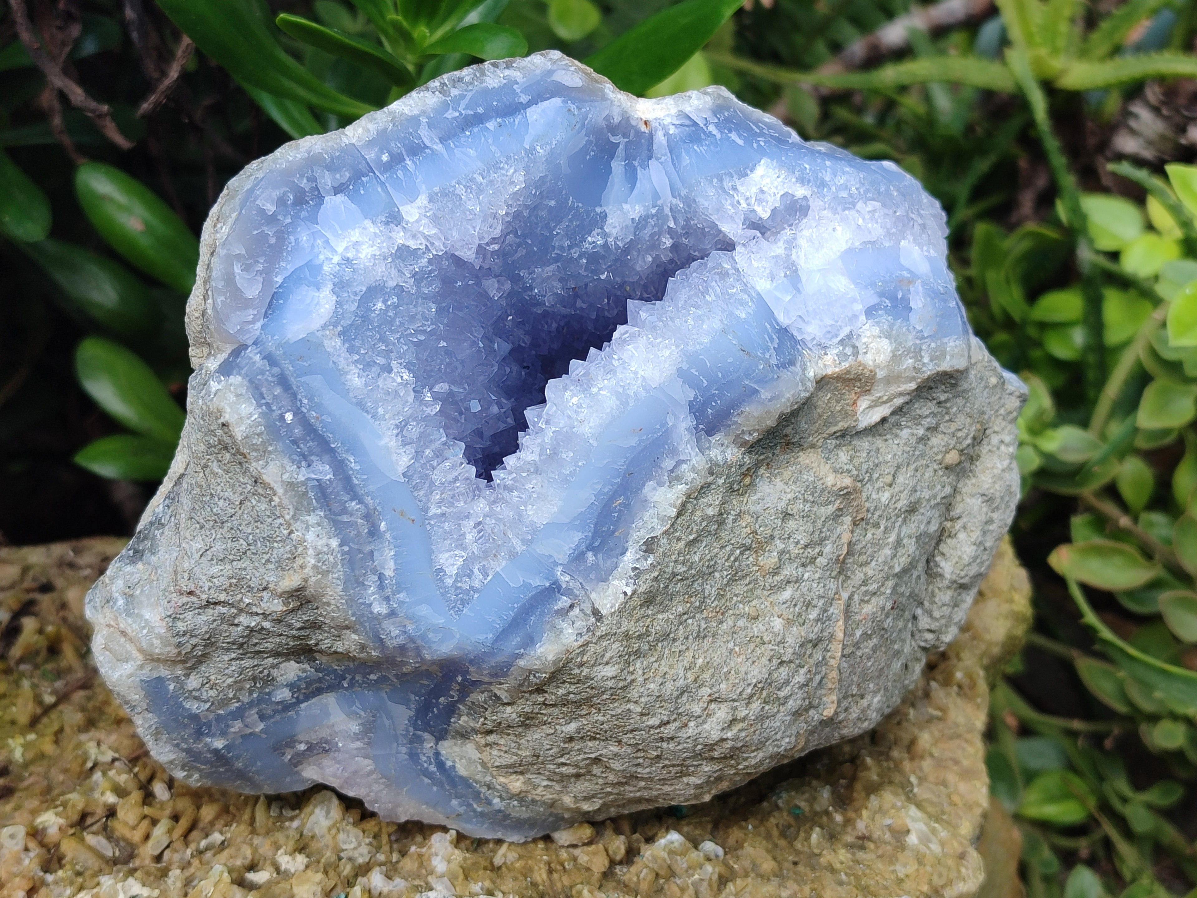 Natural Blue Lace Agate Geode Specimens x 2 From Nsanje, Malawi - Toprock Gemstones and Minerals 