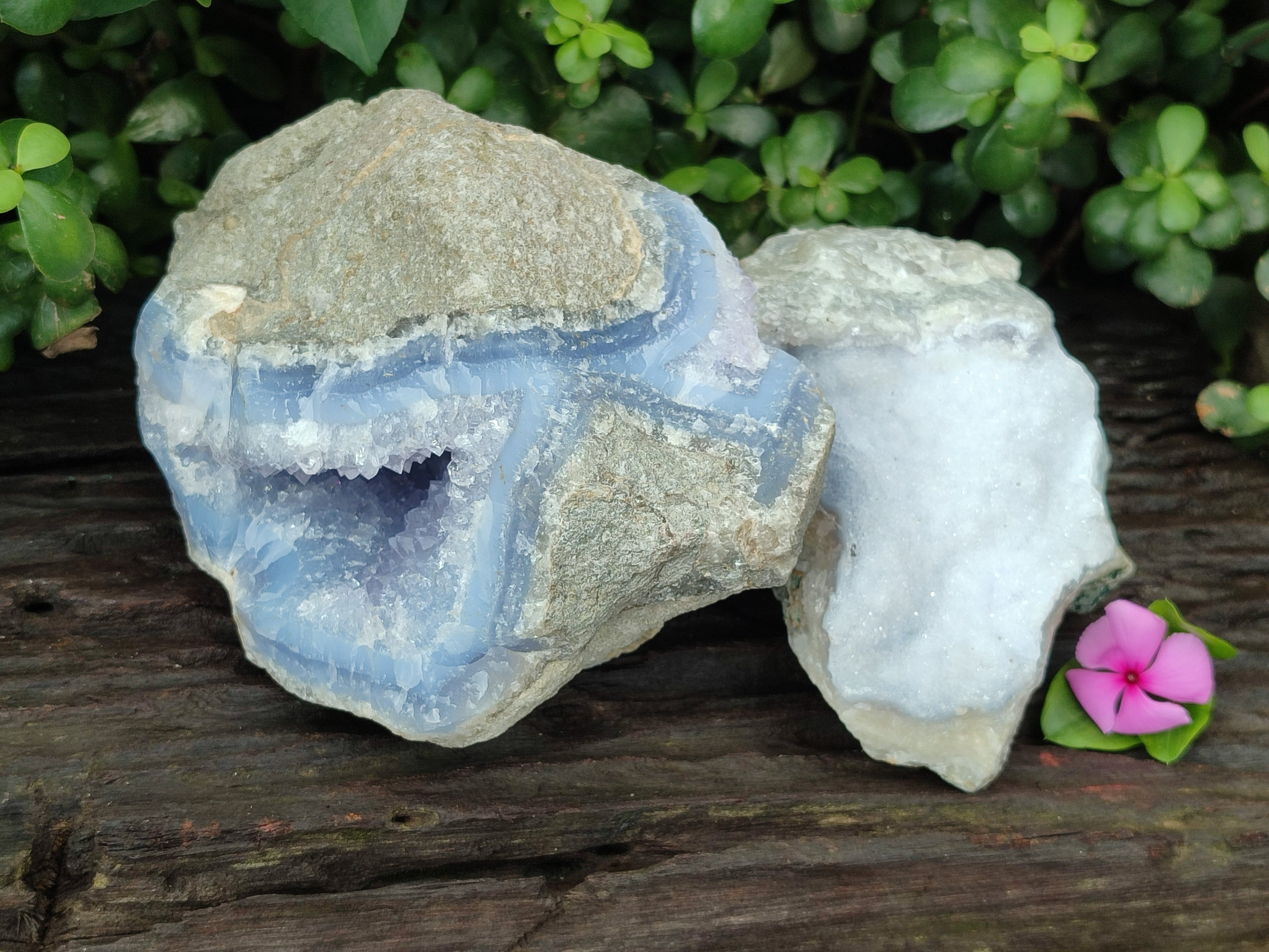 Natural Blue Lace Agate Geode Specimens x 2 From Nsanje, Malawi - Toprock Gemstones and Minerals 
