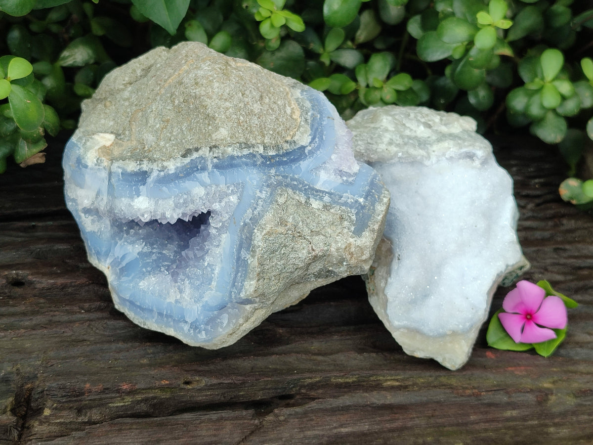 Natural Blue Lace Agate Geode Specimens x 2 From Nsanje, Malawi - Toprock Gemstones and Minerals 