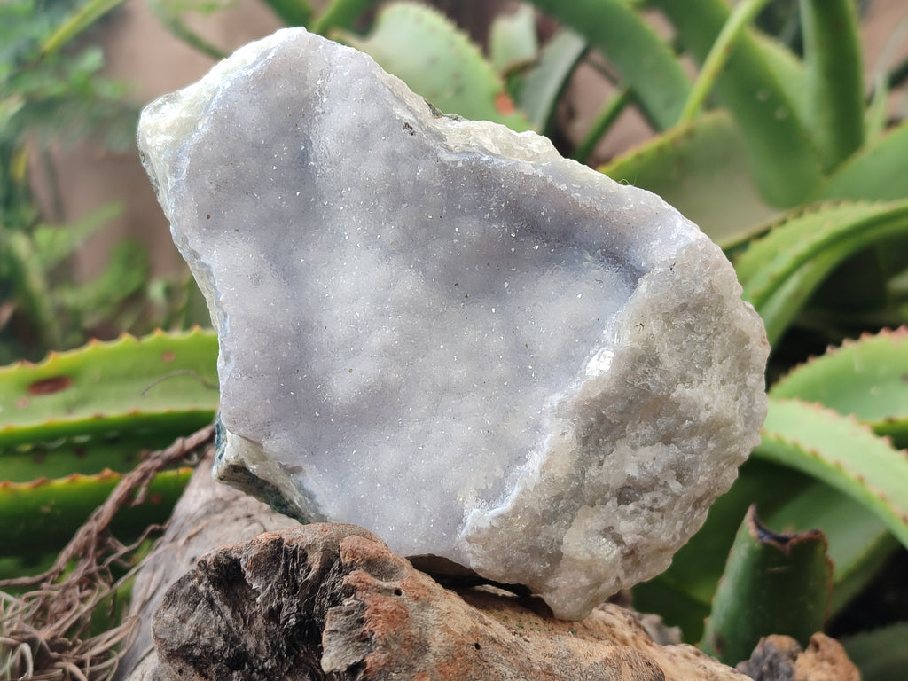 Natural Blue Lace Agate Geode Specimens x 2 From Nsanje, Malawi - Toprock Gemstones and Minerals 