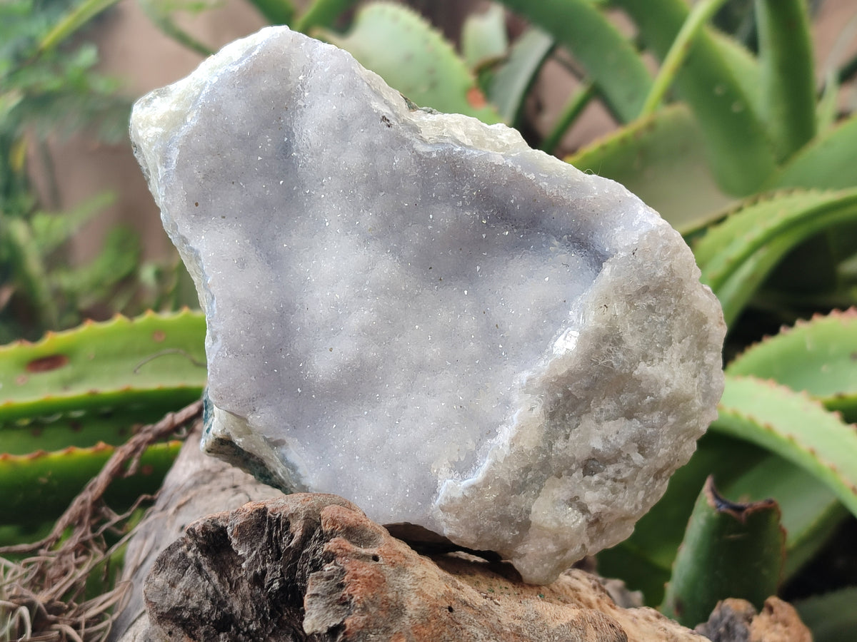 Natural Blue Lace Agate Geode Specimens x 2 From Nsanje, Malawi - Toprock Gemstones and Minerals 