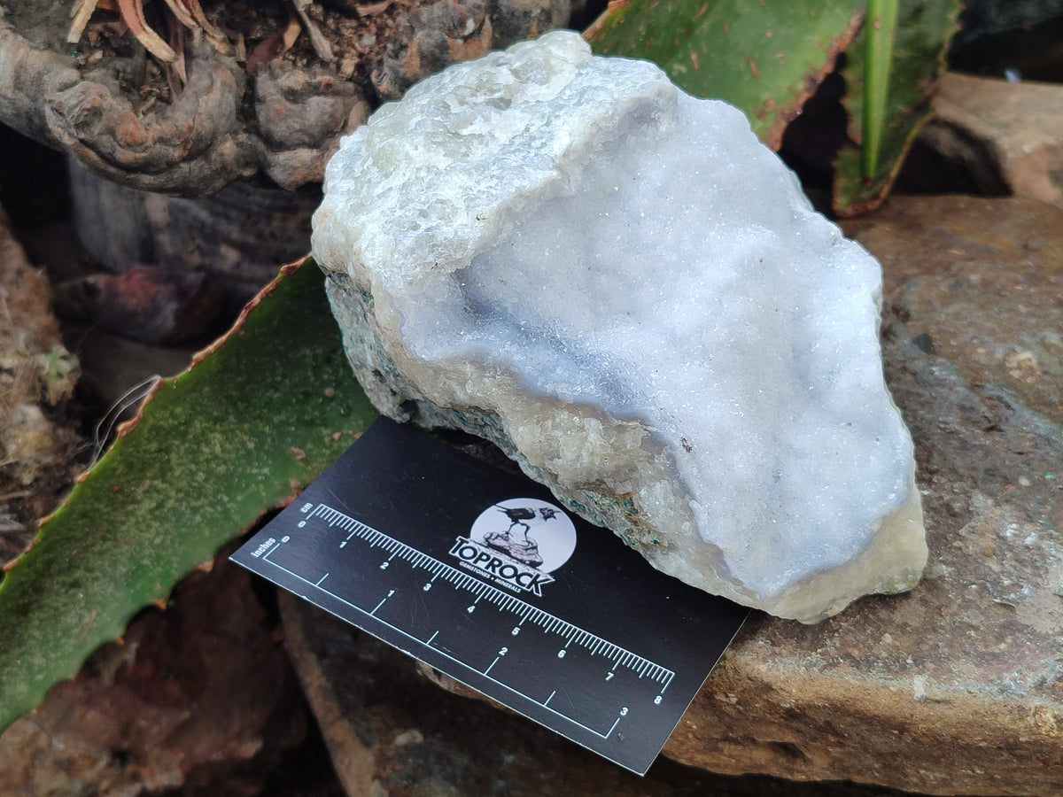 Natural Blue Lace Agate Geode Specimens x 2 From Nsanje, Malawi - Toprock Gemstones and Minerals 