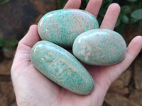 Polished Amazonite Palm Stones x 12 From Zimbabwe
