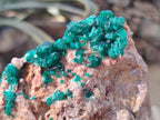 Natural Rare Dioptase and Malachite Specimen x 1 From Likasi, Congo - Toprock Gemstones and Minerals 