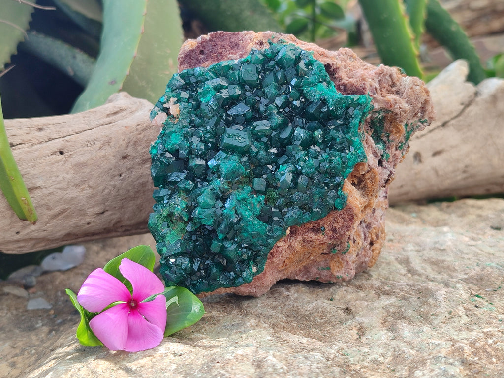 Natural Rare Dioptase and Malachite Specimen x 1 From Likasi, Congo - Toprock Gemstones and Minerals 