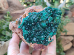 Natural Rare Dioptase and Malachite Specimen x 1 From Likasi, Congo - Toprock Gemstones and Minerals 