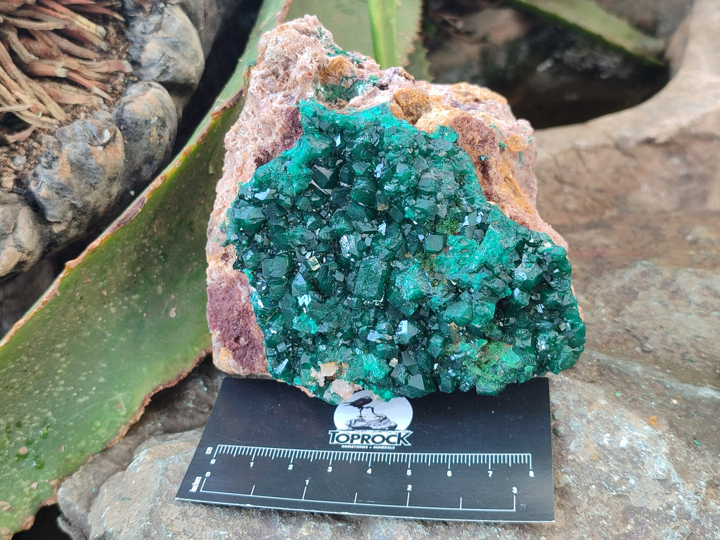 Natural Rare Dioptase and Malachite Specimen x 1 From Likasi, Congo - Toprock Gemstones and Minerals 