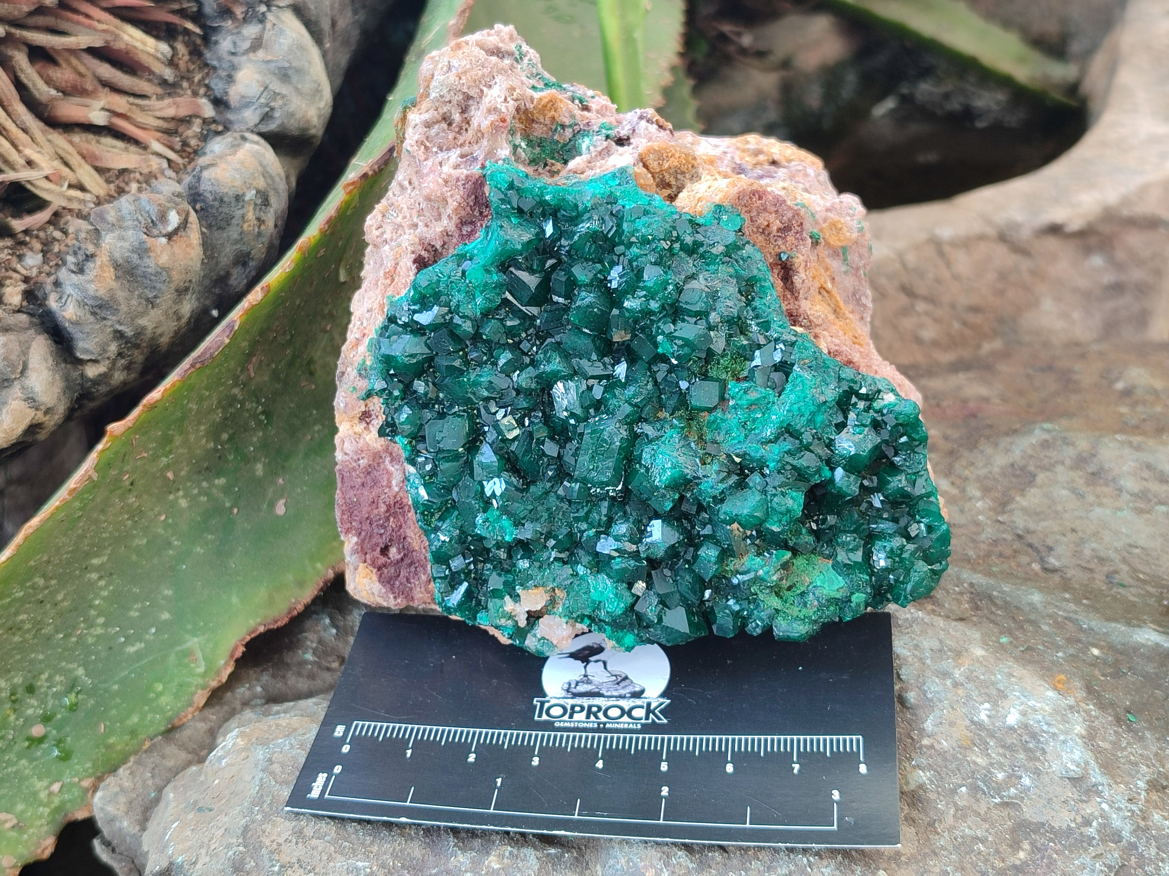 Natural Rare Dioptase and Malachite Specimen x 1 From Likasi, Congo - Toprock Gemstones and Minerals 