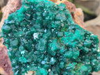 Natural Rare Dioptase and Malachite Specimen x 1 From Likasi, Congo - Toprock Gemstones and Minerals 