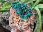 Natural Rare Dioptase and Malachite Specimen x 1 From Likasi, Congo - Toprock Gemstones and Minerals 