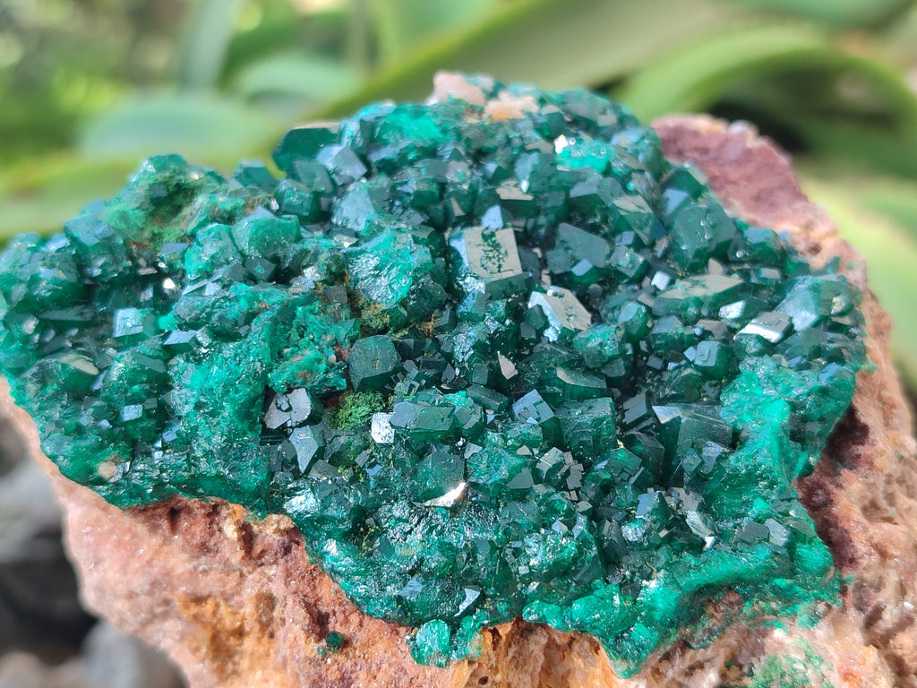 Natural Rare Dioptase and Malachite Specimen x 1 From Likasi, Congo - Toprock Gemstones and Minerals 