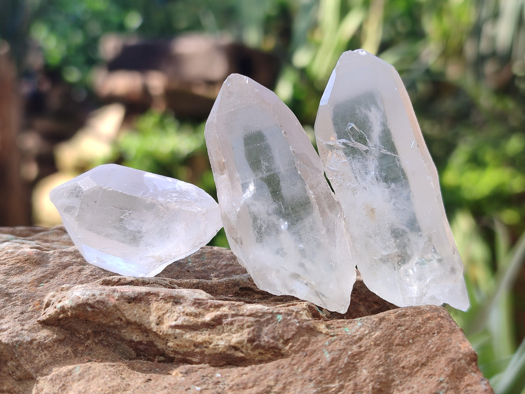 Natural Single Clear Quartz Crystals x 70 From Madagascar - Toprock Gemstones and Minerals 