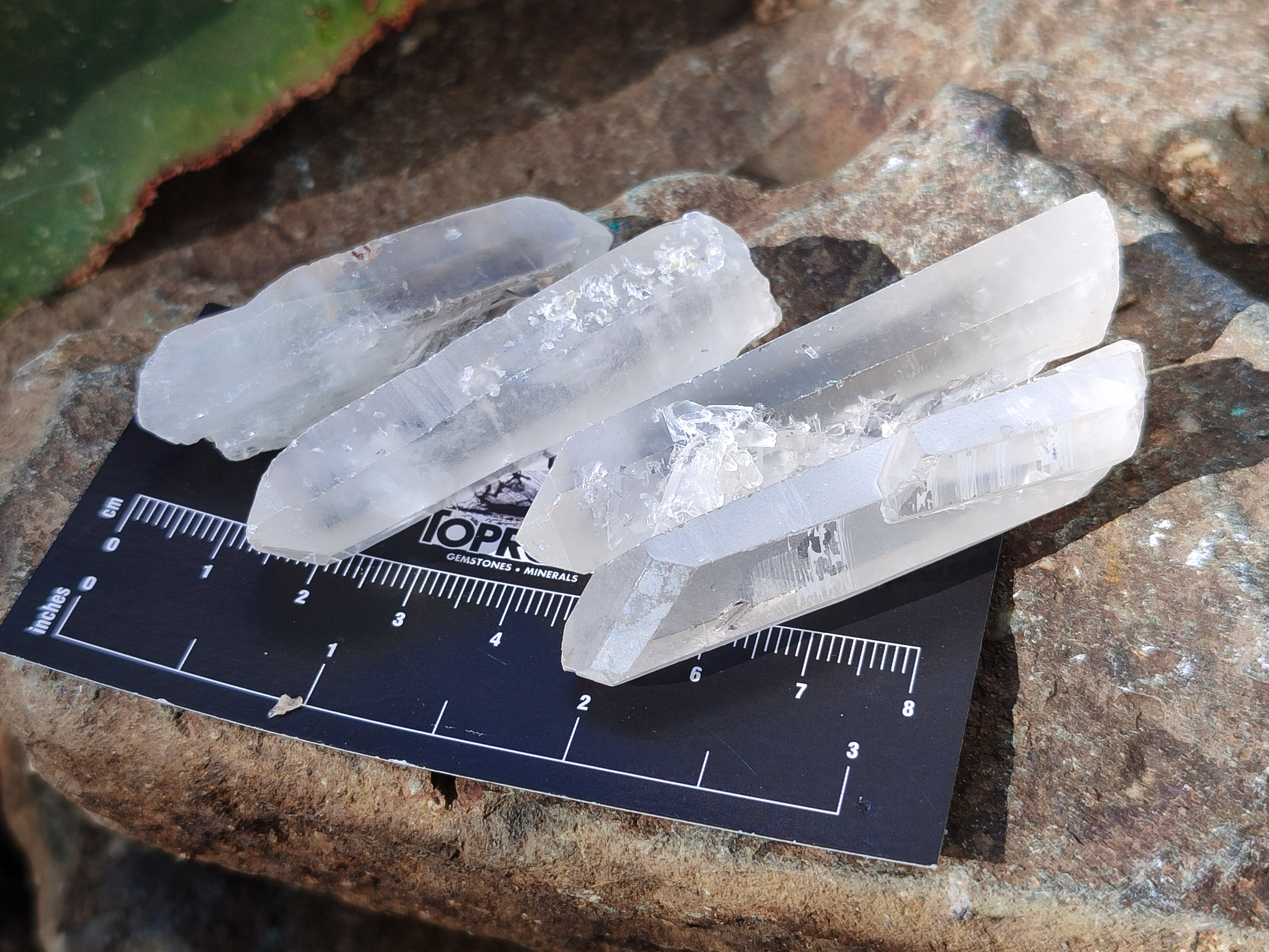 Natural Single Clear Quartz Crystals x 70 From Madagascar - Toprock Gemstones and Minerals 