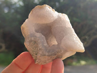 Natural Blue Lace Agate Geode Specimens x 24 From Nsanje, Malawi