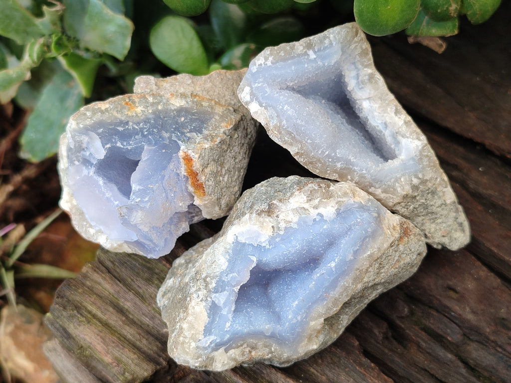 Natural Blue Lace Agate Geode Specimens x 24 From Nsanje, Malawi - Toprock Gemstones and Minerals 
