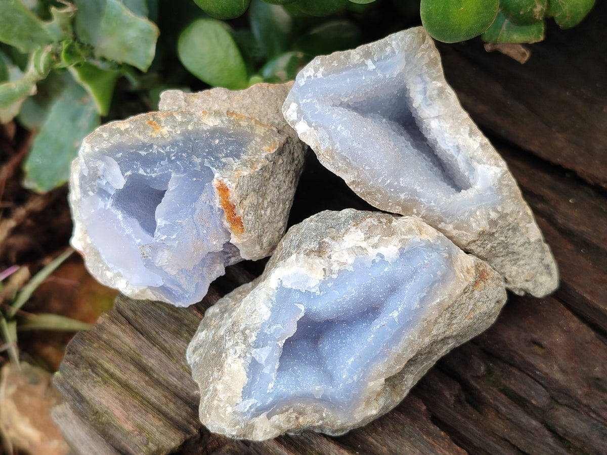 Natural Blue Lace Agate Geode Specimens x 24 From Nsanje, Malawi - Toprock Gemstones and Minerals 