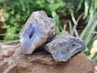 Natural Blue Lace Agate Geode Specimens x 24 From Nsanje, Malawi