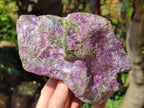 Natural Stichtite Cobbed Specimens x 2 From Barberton, South Africa - Toprock Gemstones and Minerals 