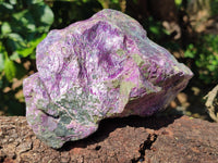 Natural Stichtite Cobbed Specimens x 2 From Barberton, South Africa