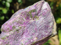 Natural Stichtite Cobbed Specimens x 2 From Barberton, South Africa