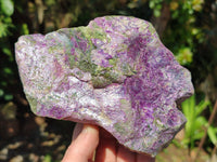 Natural Stichtite Cobbed Specimens x 2 From Barberton, South Africa