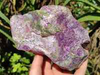 Natural Stichtite Cobbed Specimens x 2 From Barberton, South Africa