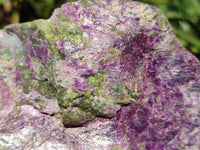 Natural Stichtite Cobbed Specimens x 2 From Barberton, South Africa